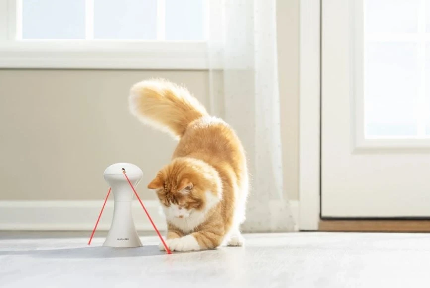 Petsafe Kattenspeelgoed Frolicat Automatische Multi-laser D 10 H 35 Cm - Afbeelding 3