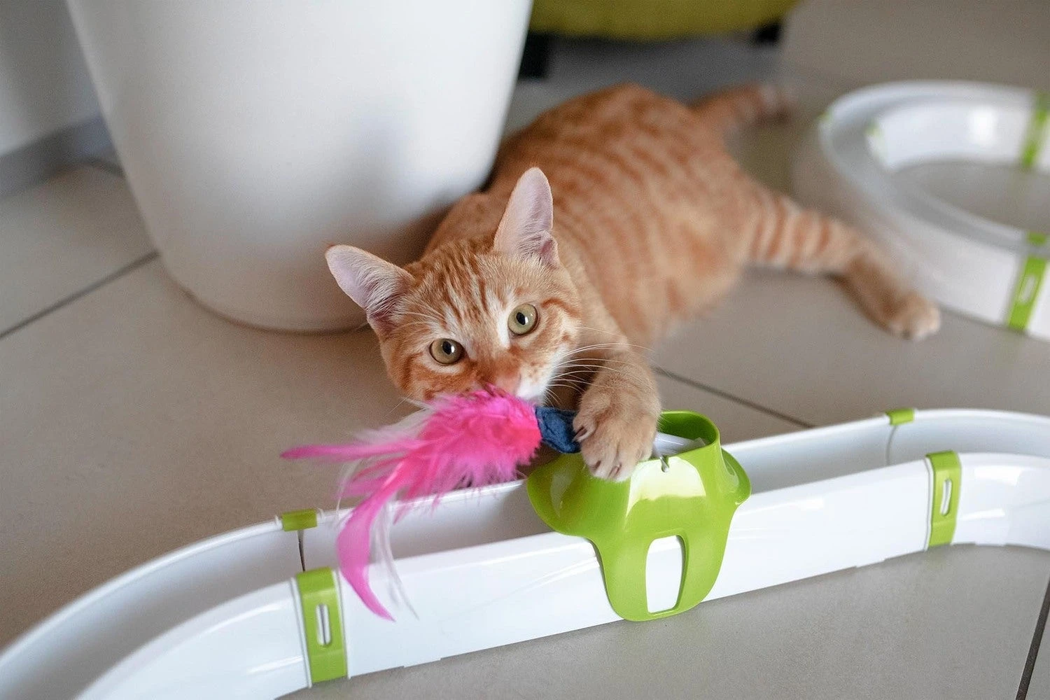 Ferplast Kattenspeelgoed Turbine Circuit 72,4 X 40,8 X 18 Cm - Afbeelding 3