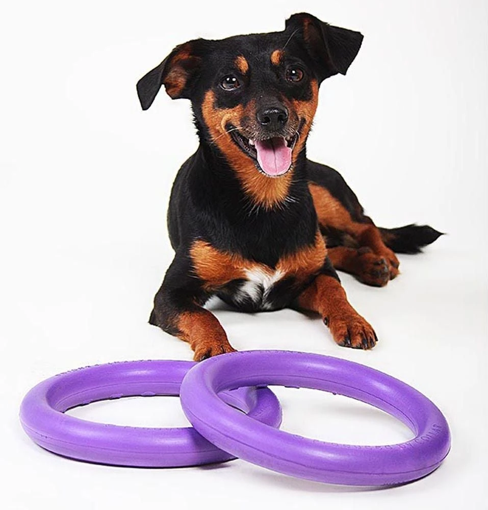 Ferplast Hondenspeelgoed Puller Mini Paars D 18 H 4,7 Cm 2 Stuks - Afbeelding 6
