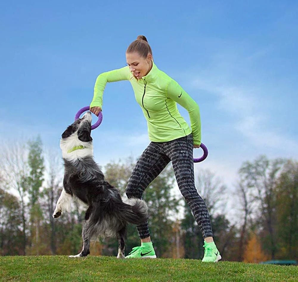 Ferplast Hondenspeelgoed Puller Midi Paars D 19 H 6,4 Cm 2 Stuks - Afbeelding 3