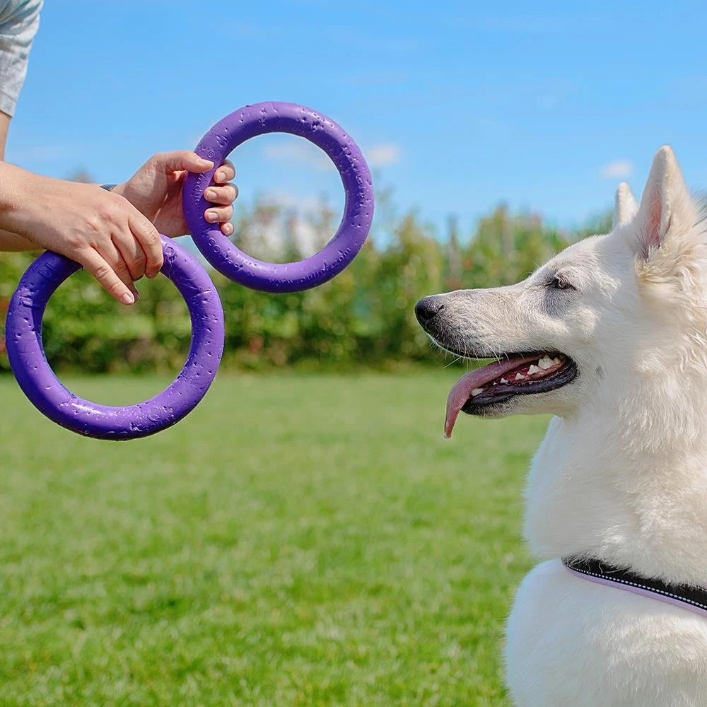 Ferplast Hondenspeelgoed Puller Midi Paars D 19 H 6,4 Cm 2 Stuks - Afbeelding 6