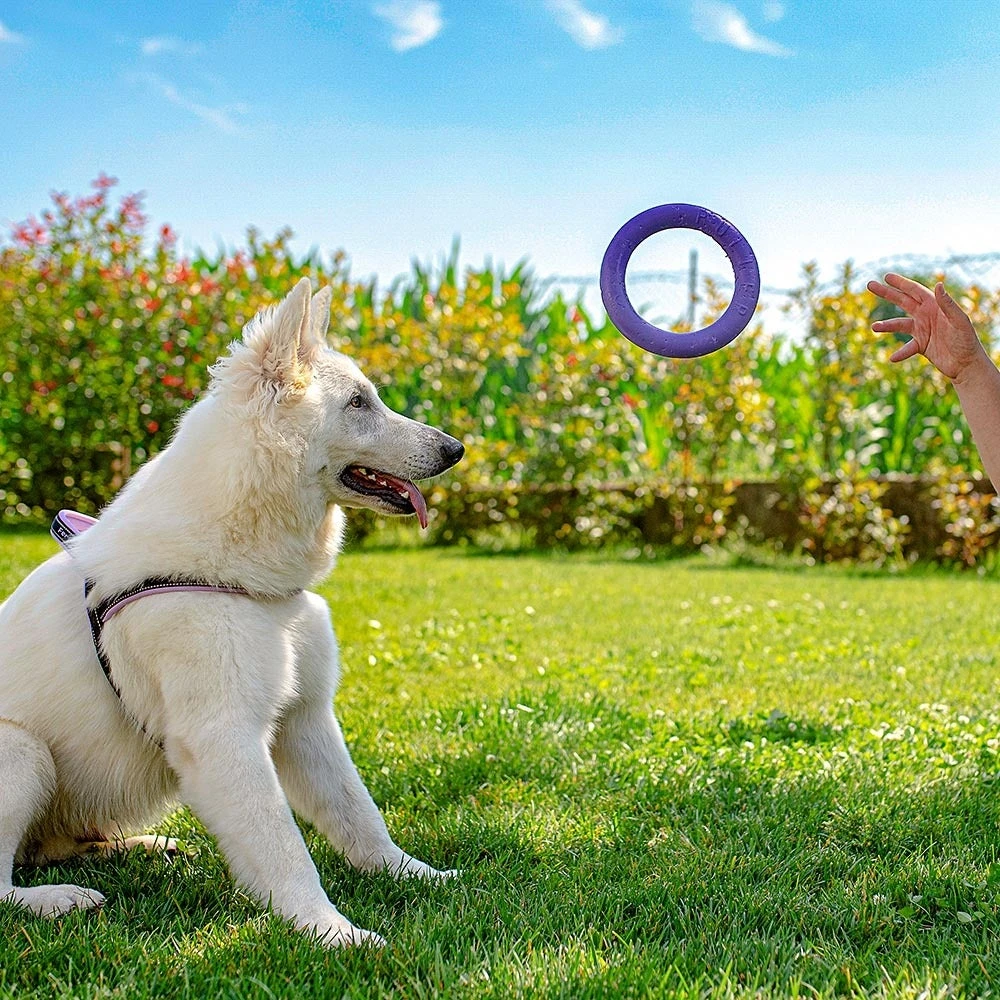 Ferplast Hondenspeelgoed Puller Midi Paars D 19 H 6,4 Cm 2 Stuks - Afbeelding 7