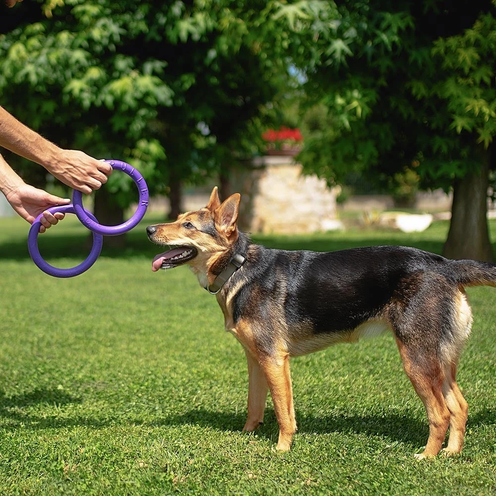 Ferplast Hondenspeelgoed Puller Midi Paars D 19 H 6,4 Cm 2 Stuks - Afbeelding 8