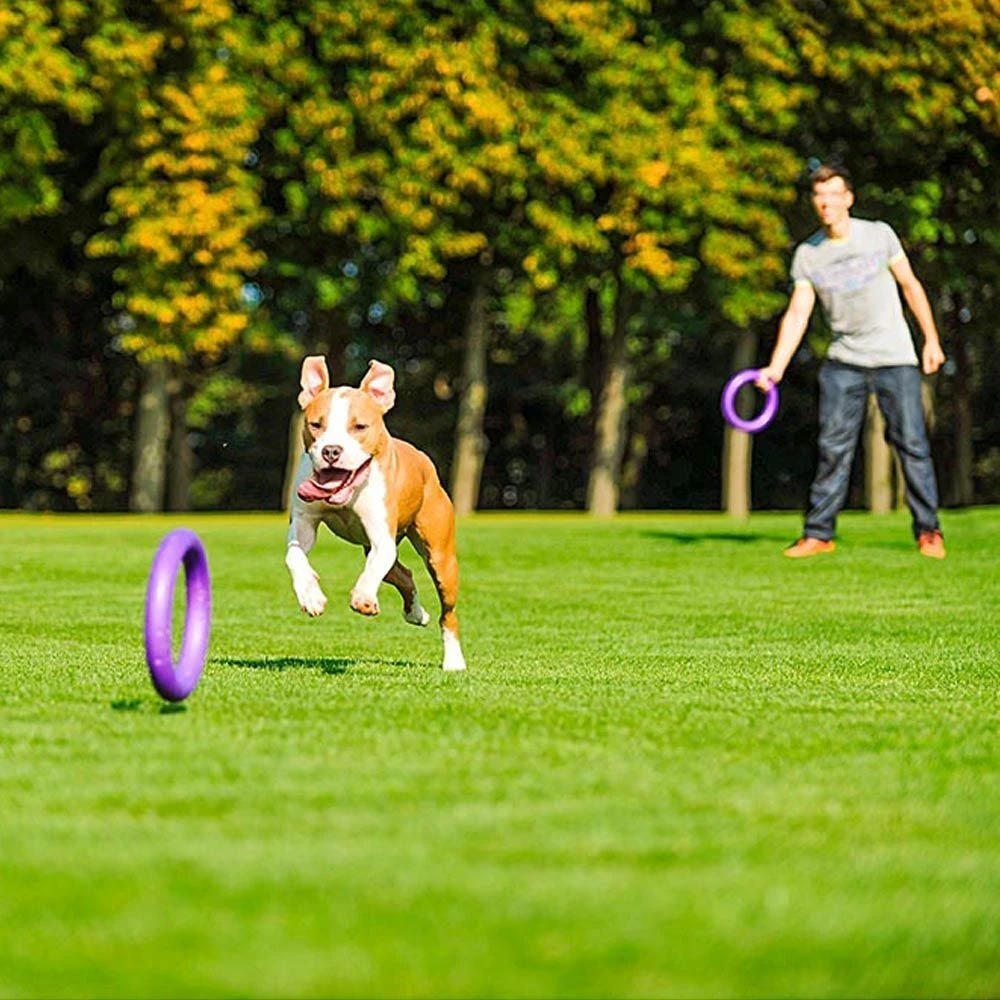 Ferplast Hondenspeelgoed Puller Standaard Paars D 27 H 8,5 Cm 2 Stuks - Afbeelding 3