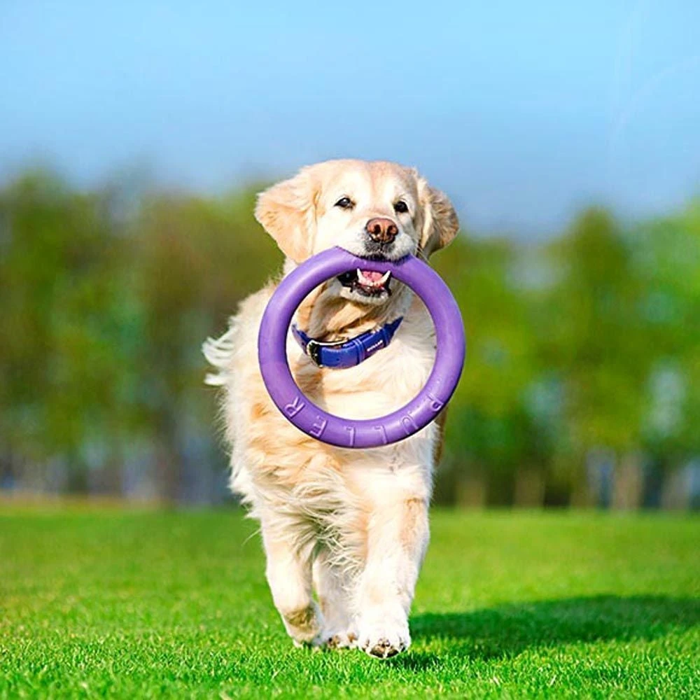 Ferplast Hondenspeelgoed Puller Standaard Paars D 27 H 8,5 Cm 2 Stuks - Afbeelding 7