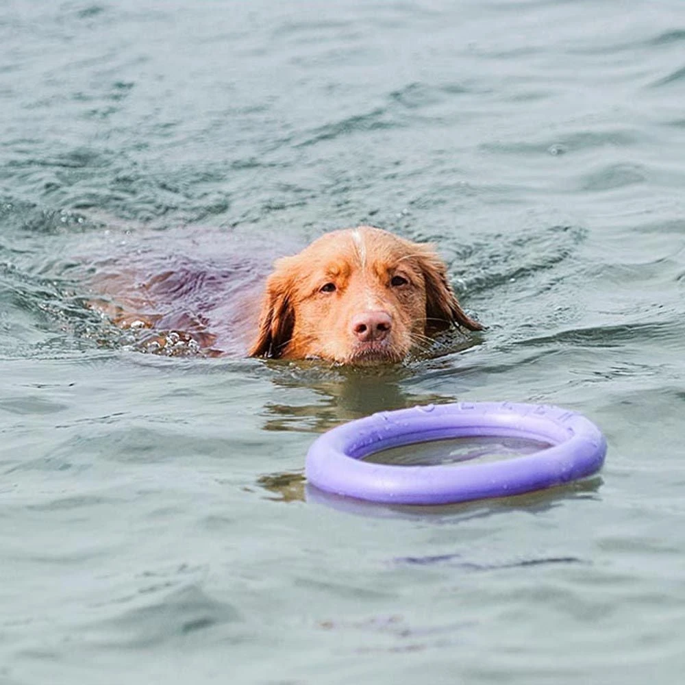 Ferplast Hondenspeelgoed Puller Standaard Paars D 27 H 8,5 Cm 2 Stuks - Afbeelding 8