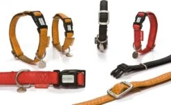 Beeztees Hondenhalsband L Rood 70 Cm