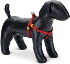 Beeztees Hondentuig Uni Rood 46-75 X 2 Cm