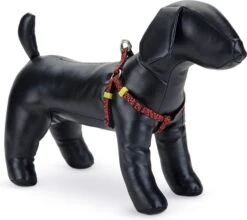 Beeztees Hondentuig Scribbles Zwart 46-75 X 2 Cm