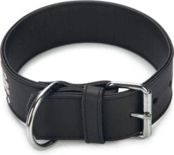 Beeztees Hondenhalsband Vintage Zwart 60 X 5 Cm