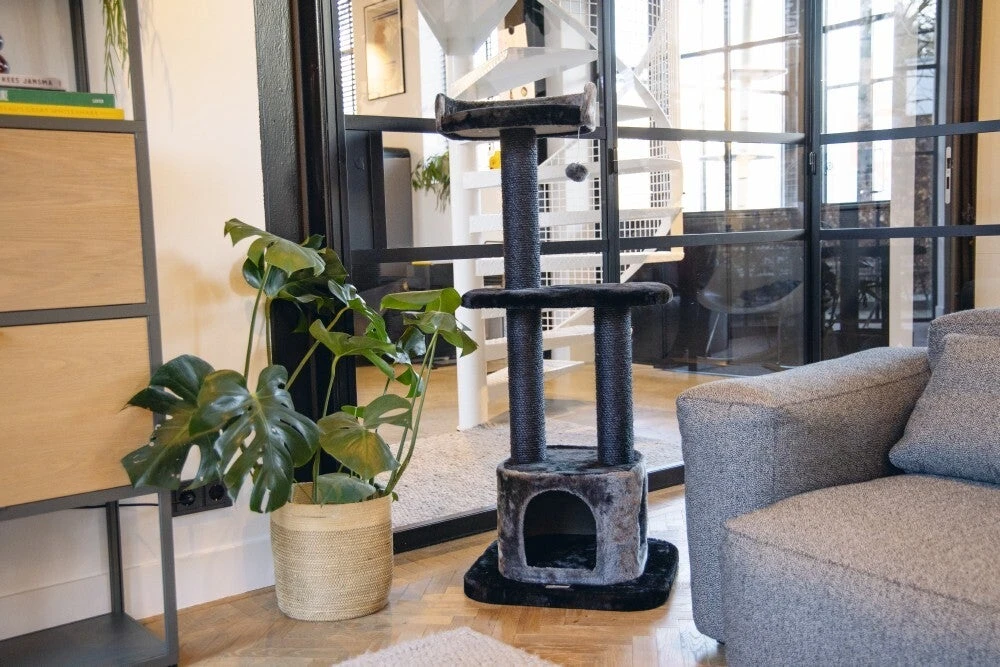 Beeztees Krabpaal Bondica Zwat 50 X 50 X 120 Cm - Afbeelding 3