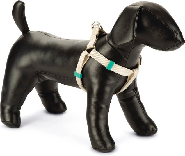 Beeztees Hondentuig Uni Beige 35-60 X 1,5 Cm