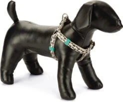 Beeztees Hondentuig Eyes Beige 46-75 X 2 Cm