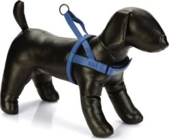 Beeztees Hondentuig Parinca Premium Comfort Blauw 52-62 X 2,5 Cm