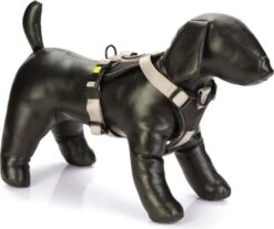 Beeztees Hondentuig Parinca Premium Grijs 81-100 X 3 Cm