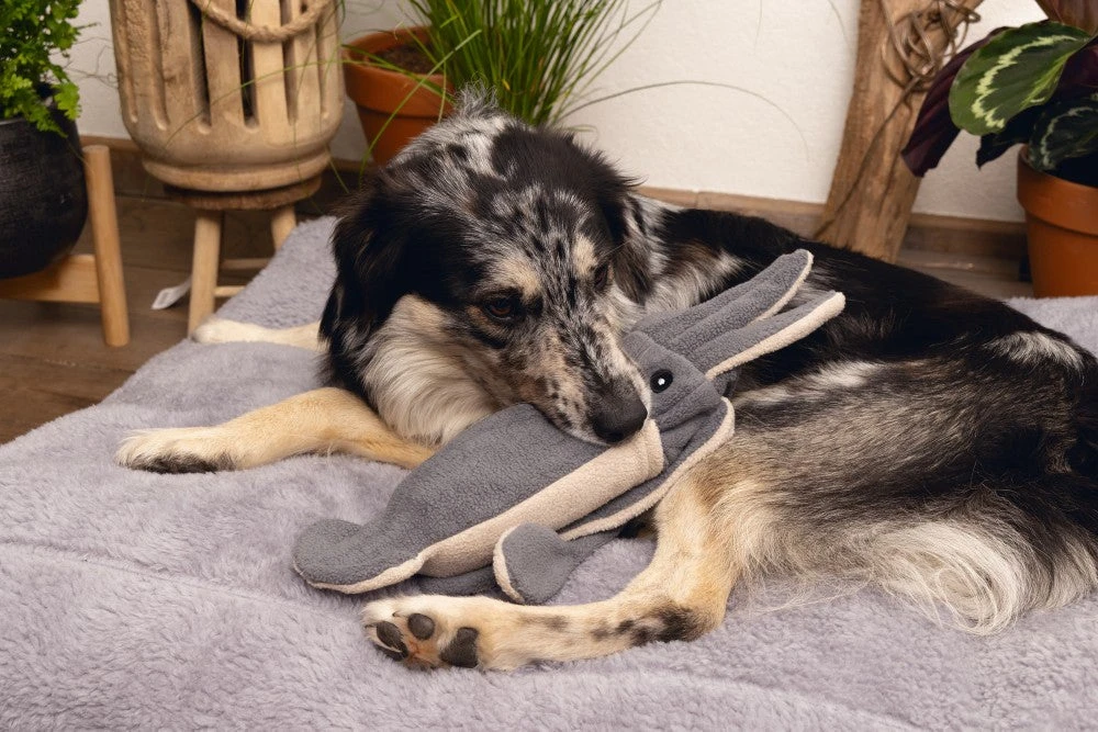 Beeztees Hondenspeelgoed Minus One Inktvis Grijs/beige 56 X 10 X 9 Cm - Afbeelding 3