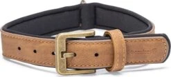 Beeztees Hondenhalsband Balacron Ax Bruin 38-48 X 2,5 Cm