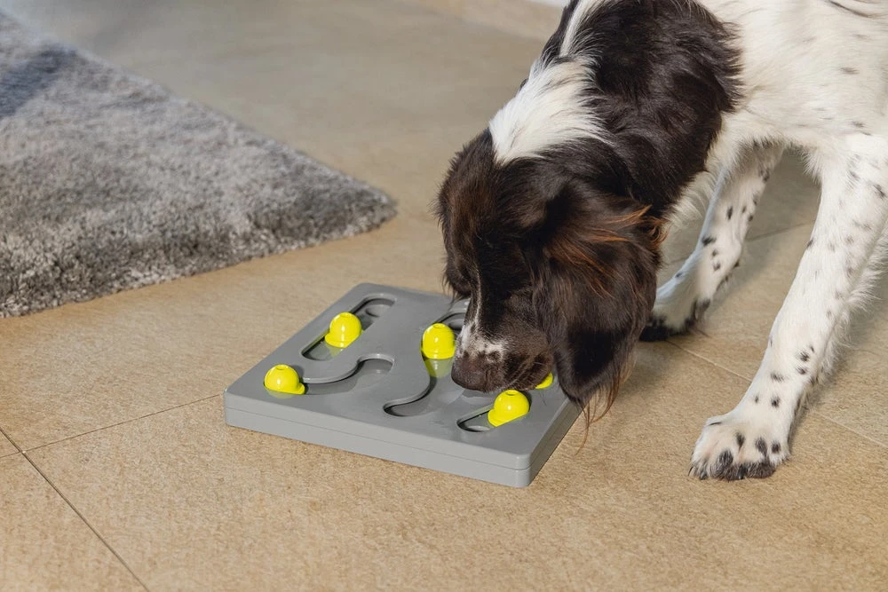 Beeztees Hondenspeelgoed Brain Game Looki Grijs 28 X 28 X 4,5 Cm - Afbeelding 4