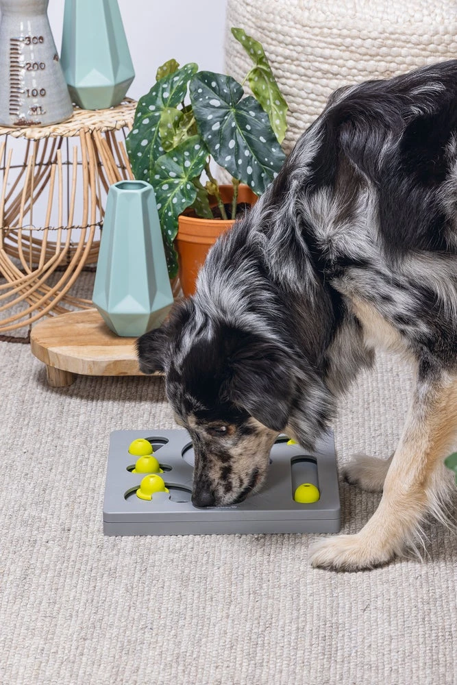 Beeztees Hondenspeelgoed Brain Game Looki Grijs 28 X 28 X 4,5 Cm - Afbeelding 5