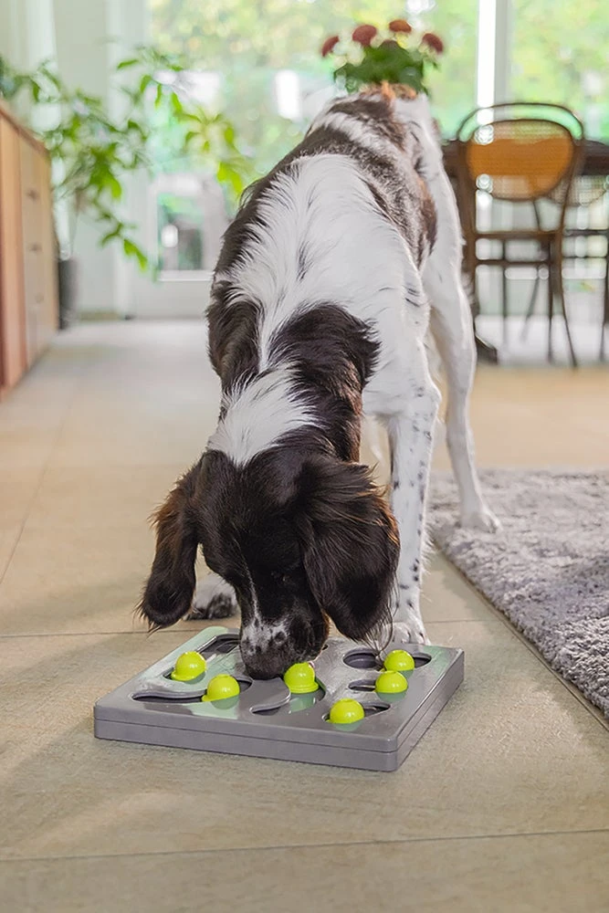 Beeztees Hondenspeelgoed Brain Game Looki Grijs 28 X 28 X 4,5 Cm - Afbeelding 6