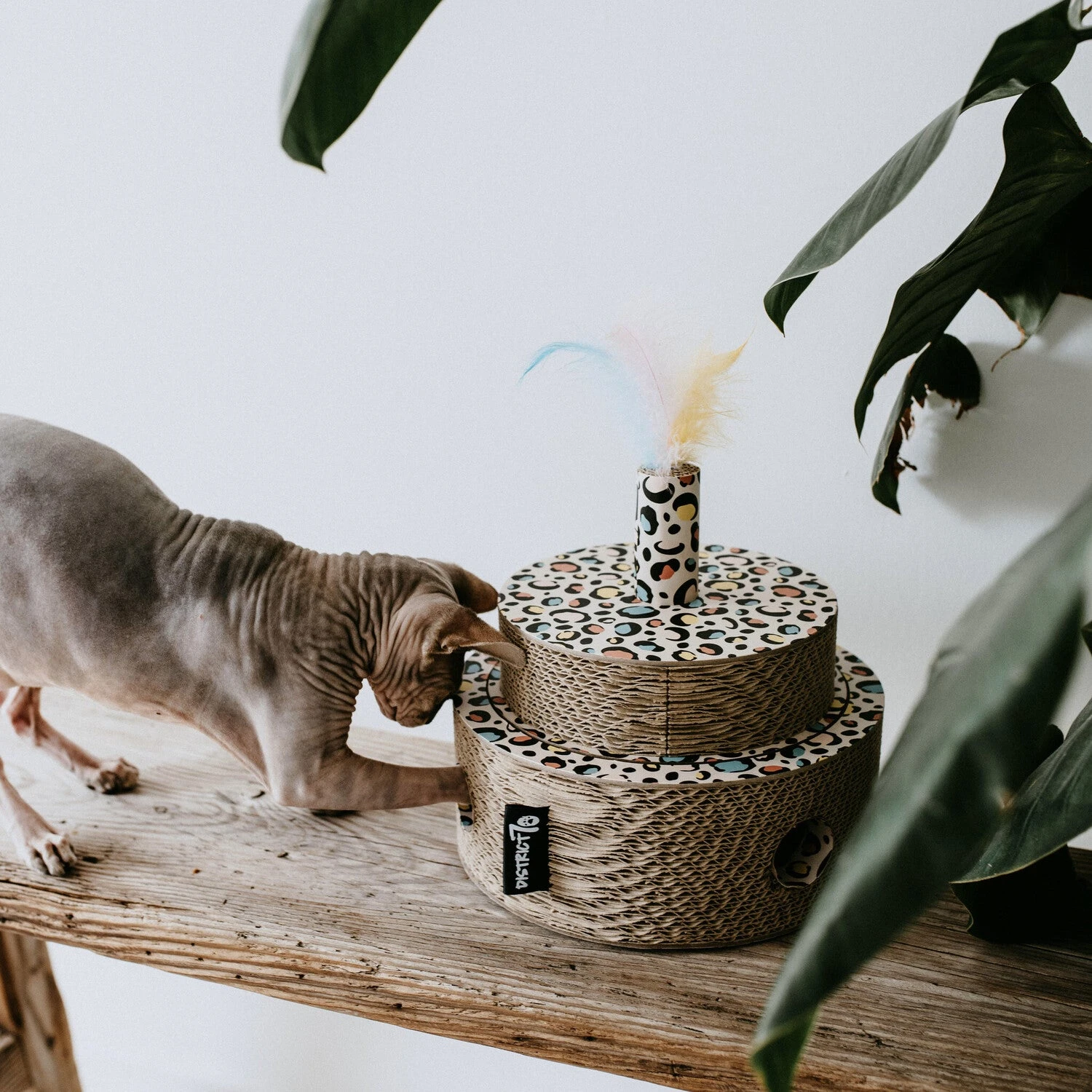 District 70 Krabkarton Fiesta Stippen D 25 H 25 Cm - Afbeelding 4