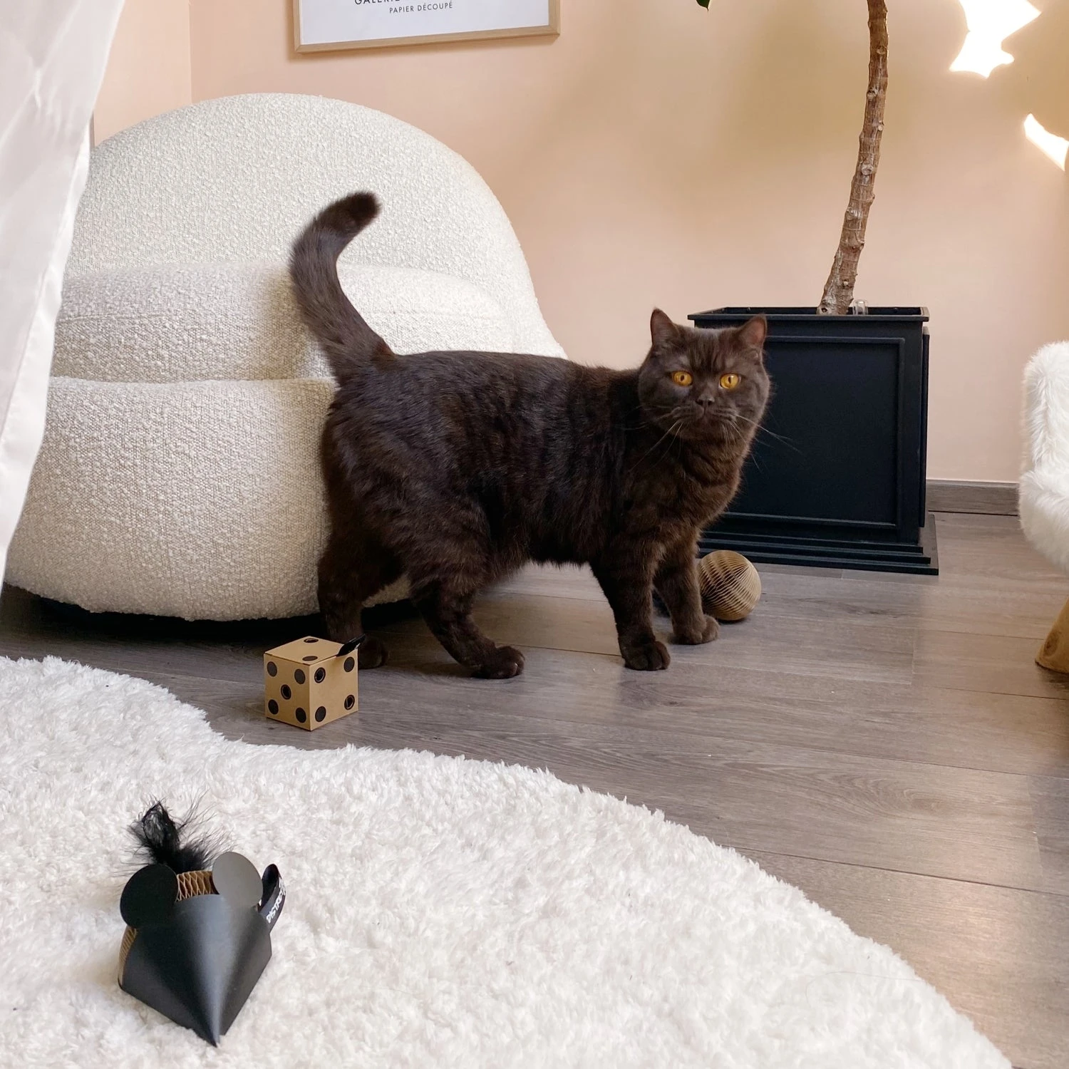 District 70 Kattenspeelgoed Gift Set Bruin 3 Stuks - Afbeelding 8