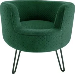 Intratuin Hondenmand Ella Groen D 49 H 44 Cm