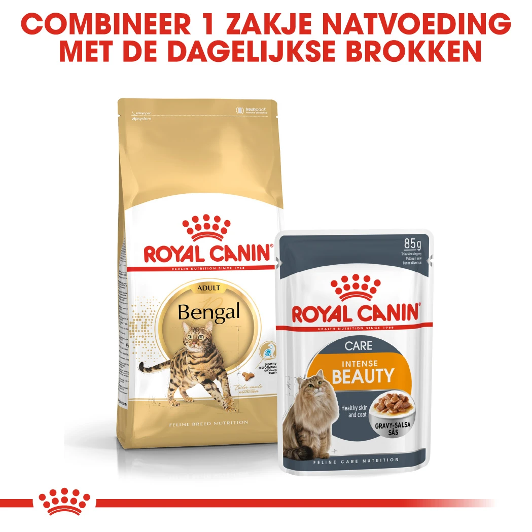 Royal Canin Bengal Adult Kattenvoer 2kg - Afbeelding 6