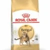 Royal Canin Bengal Adult Kattenvoer 2kg