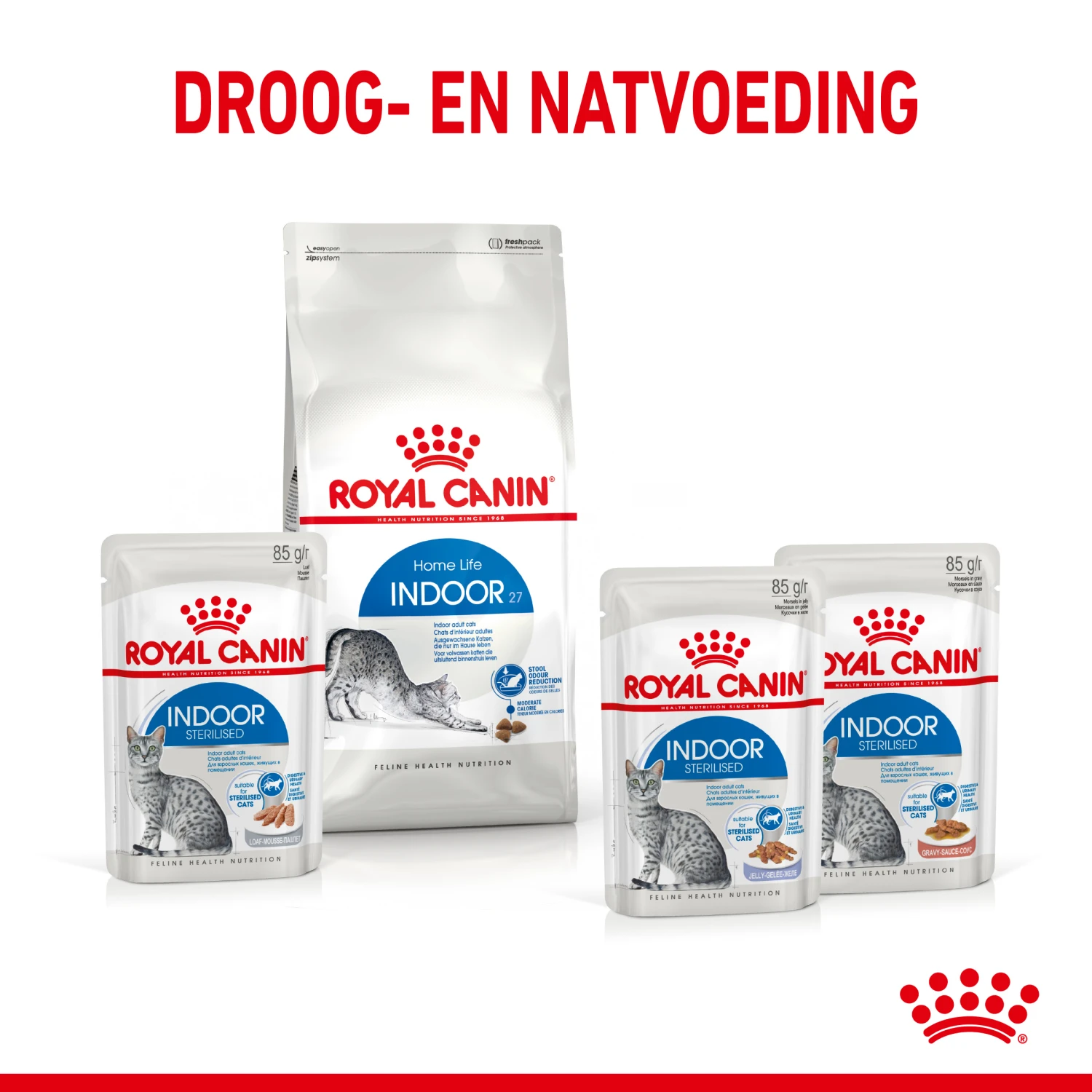 Royal Canin Indoor Sterilised In Jelly Kattenvoer 12x85g - Afbeelding 6