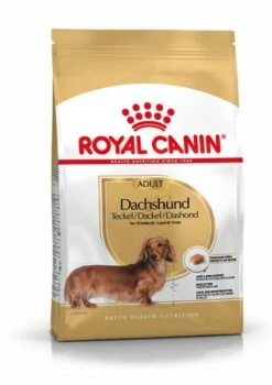 Royal Canin Teckel/Dashond Adult - Hondenvoer - 1,5kg