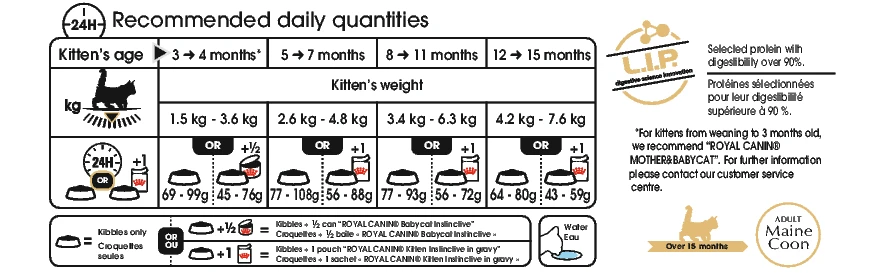 Royal Canin Maine Coon Kitten 4kg - Afbeelding 3