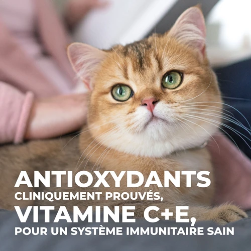 Hill's Science Plan Mature Adult Sterilised - Kip - 3kg - Afbeelding 6