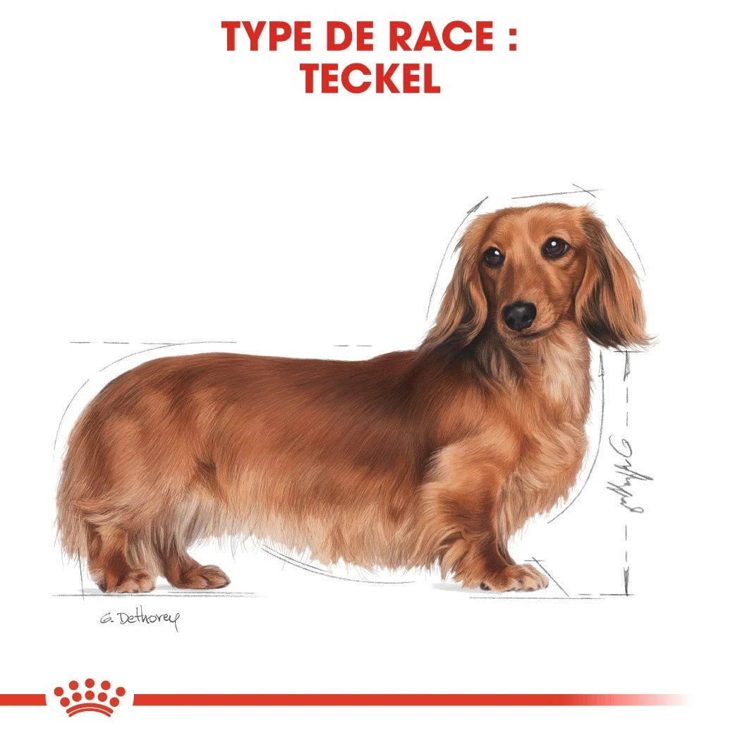Royal Canin Teckel/Dashond Adult - Hondenvoer - 7,5kg - Afbeelding 5